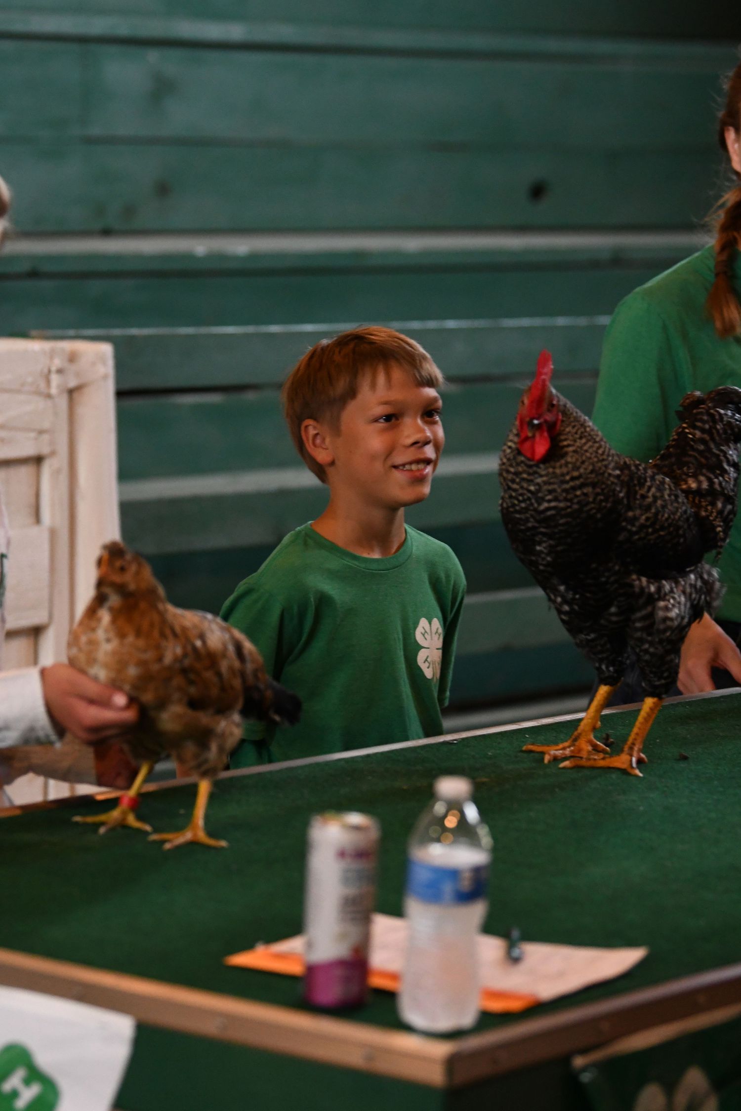 Children interact with chickens on display tables at what appears to be an educational farm or fair event.