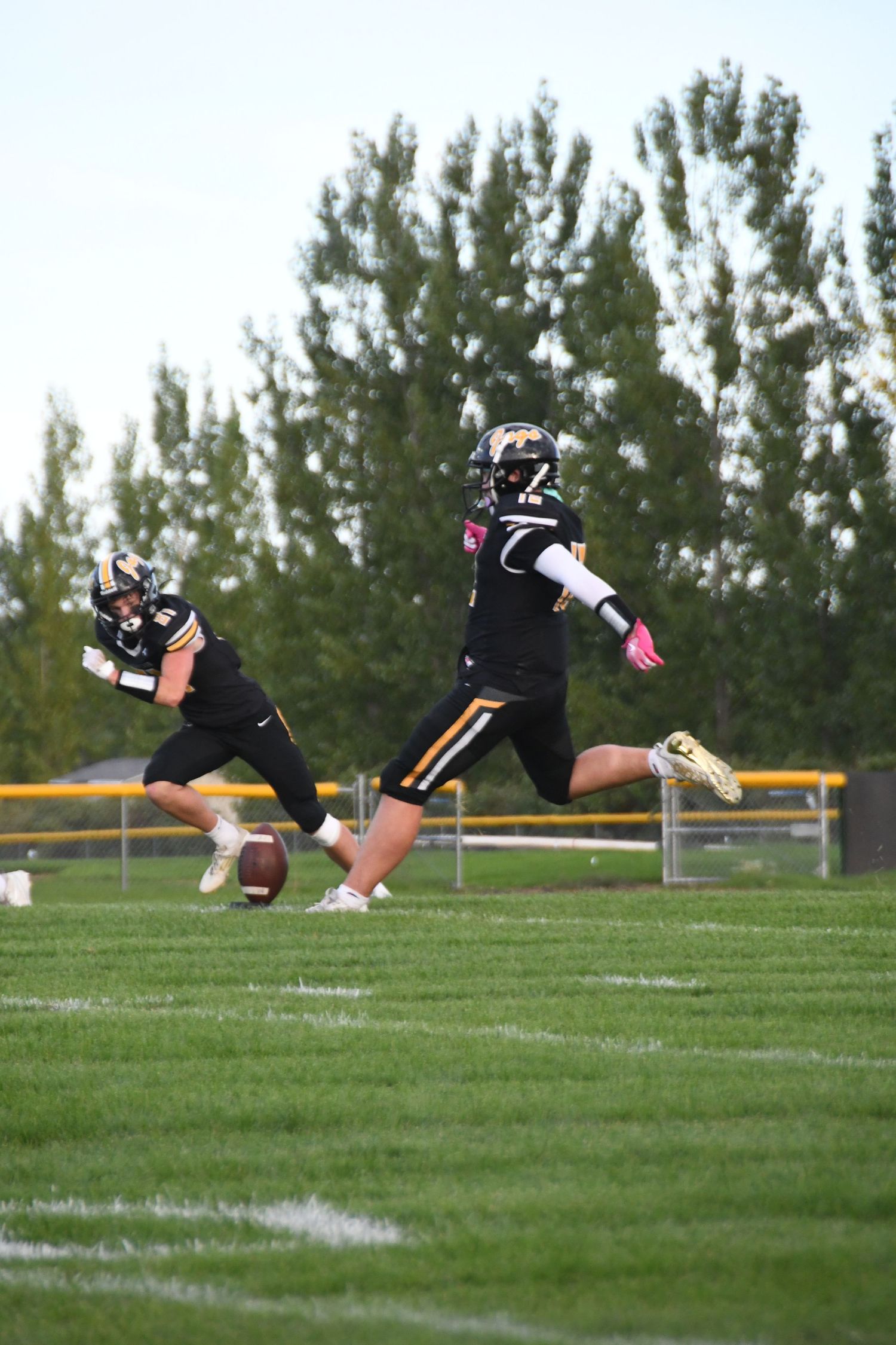 Football player diving to make spectacular catch on grass field.