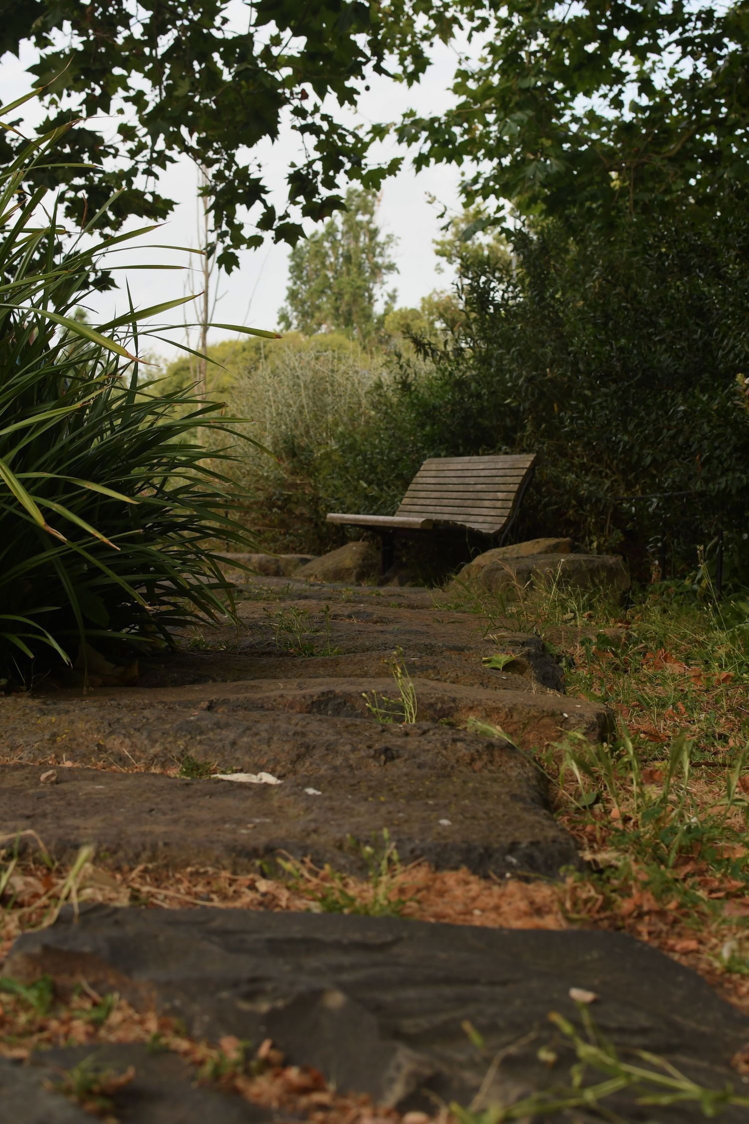Wooden bench along a shaded garden path surrounded by lush greenery.
