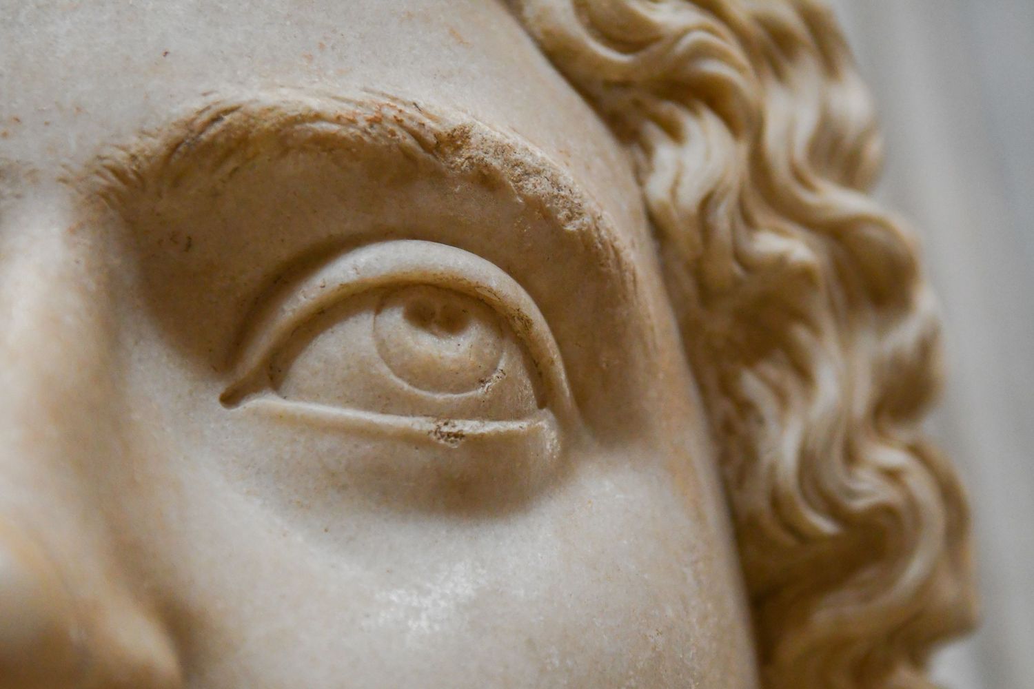 Close-up detail of Michelangelo's David sculpture showing facial features in marble with soft lighting and shadows.