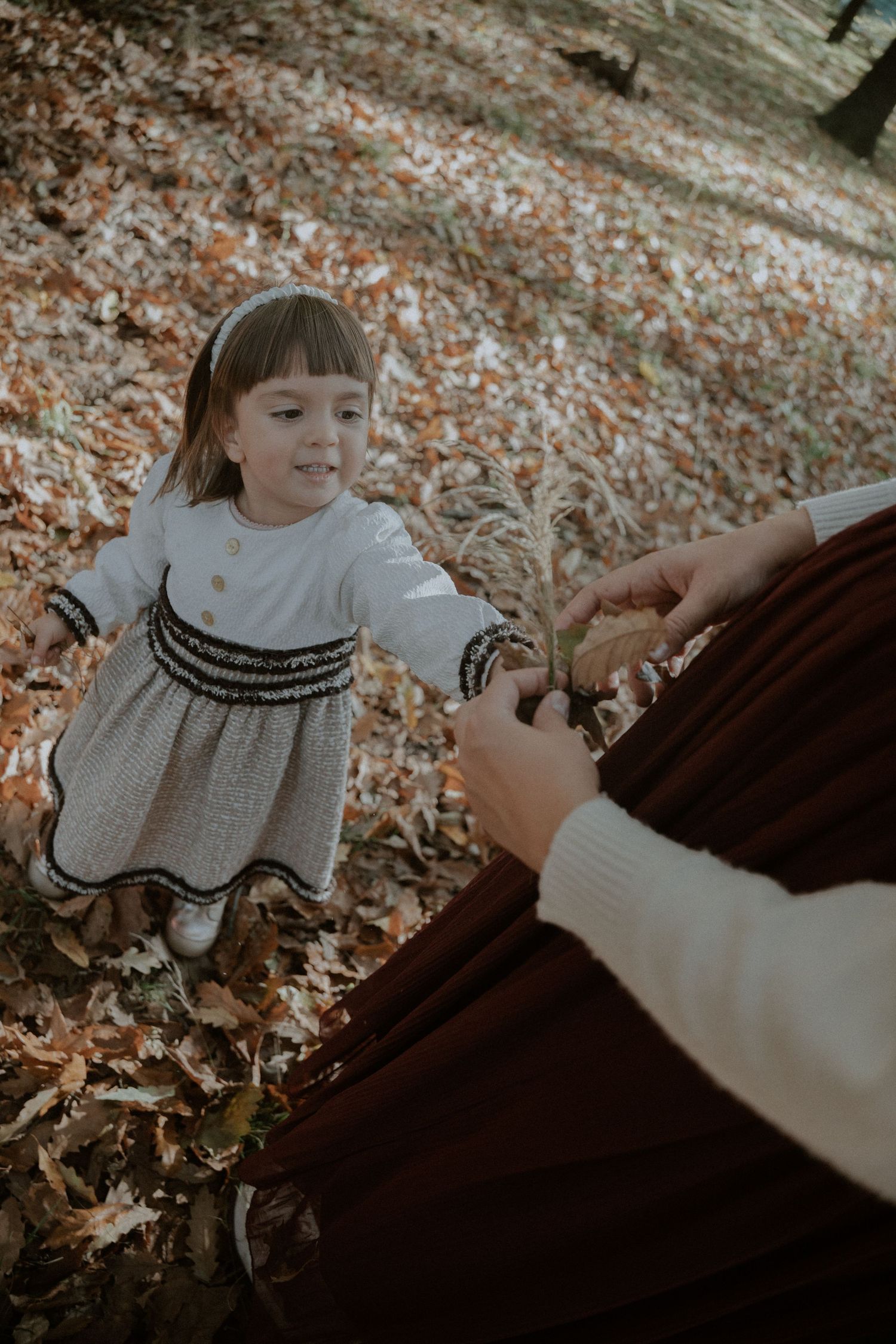 семейна фотосесия, семеен фотограф, семеен видеограф