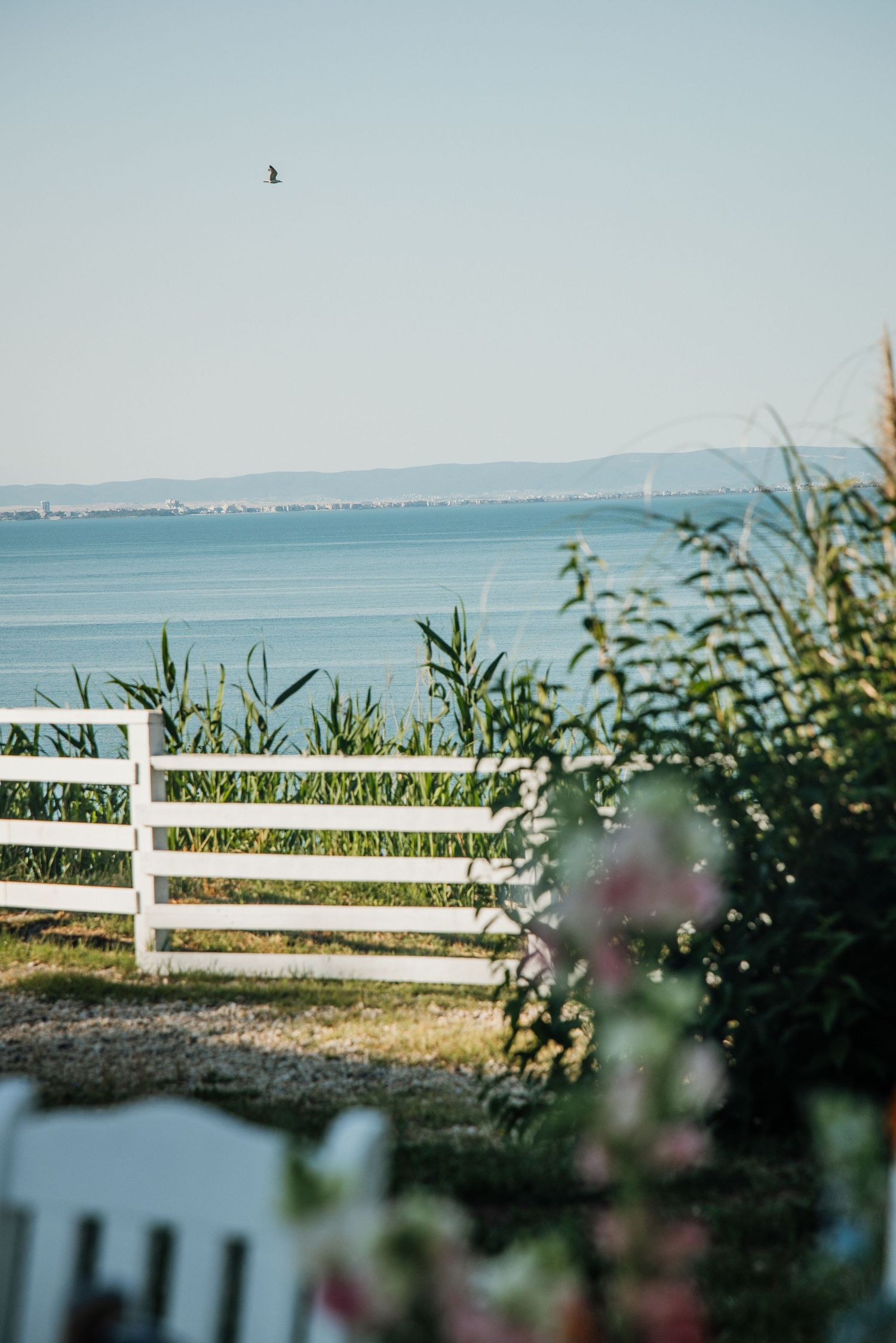 White fence overlooking calm blue sea with lush greenery, pink flowers, and distant mountains under clear sky.
