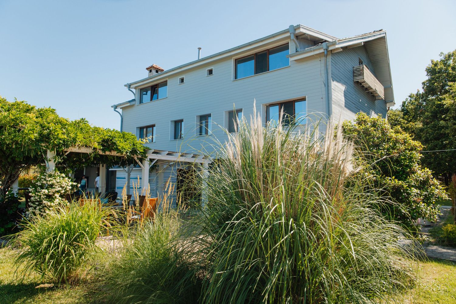 Blue two-story house surrounded by lush garden with ornamental grasses and green trees on a sunny day.