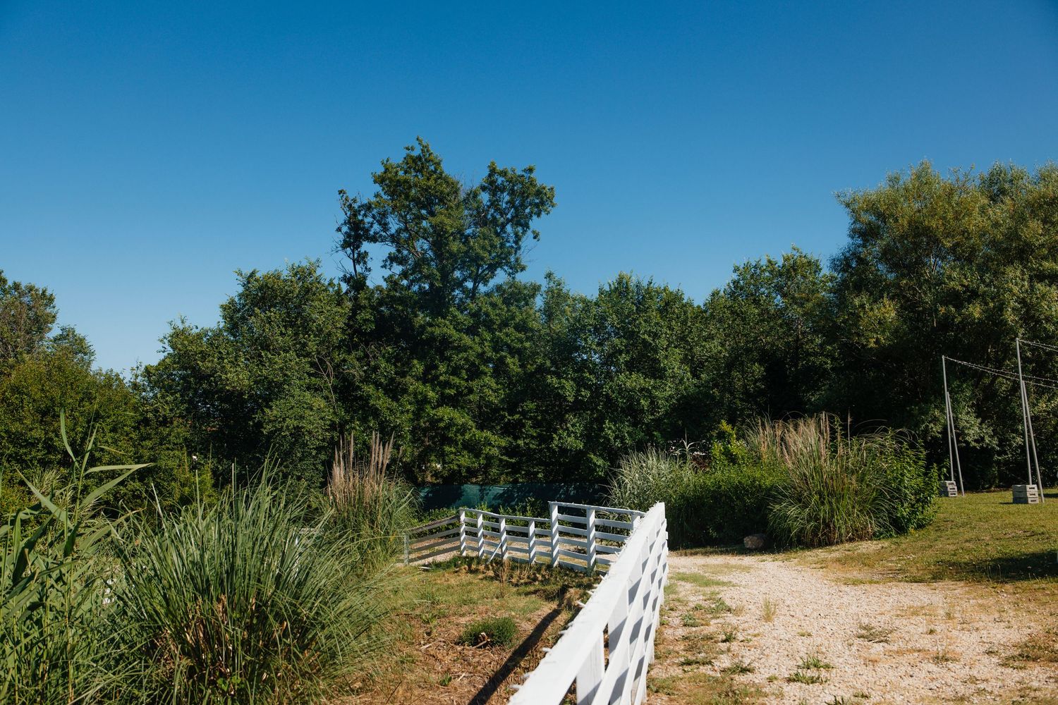 White fence path leading to lush green trees under a clear blue sky in a serene outdoor setting.