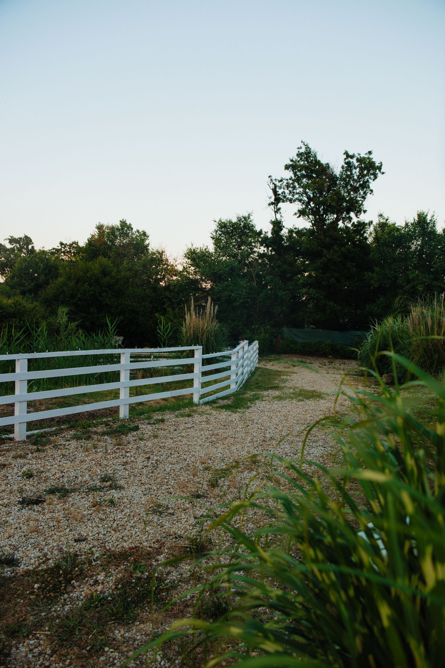 White split-rail fence along a gravel path surrounded by lush green trees at dusk.