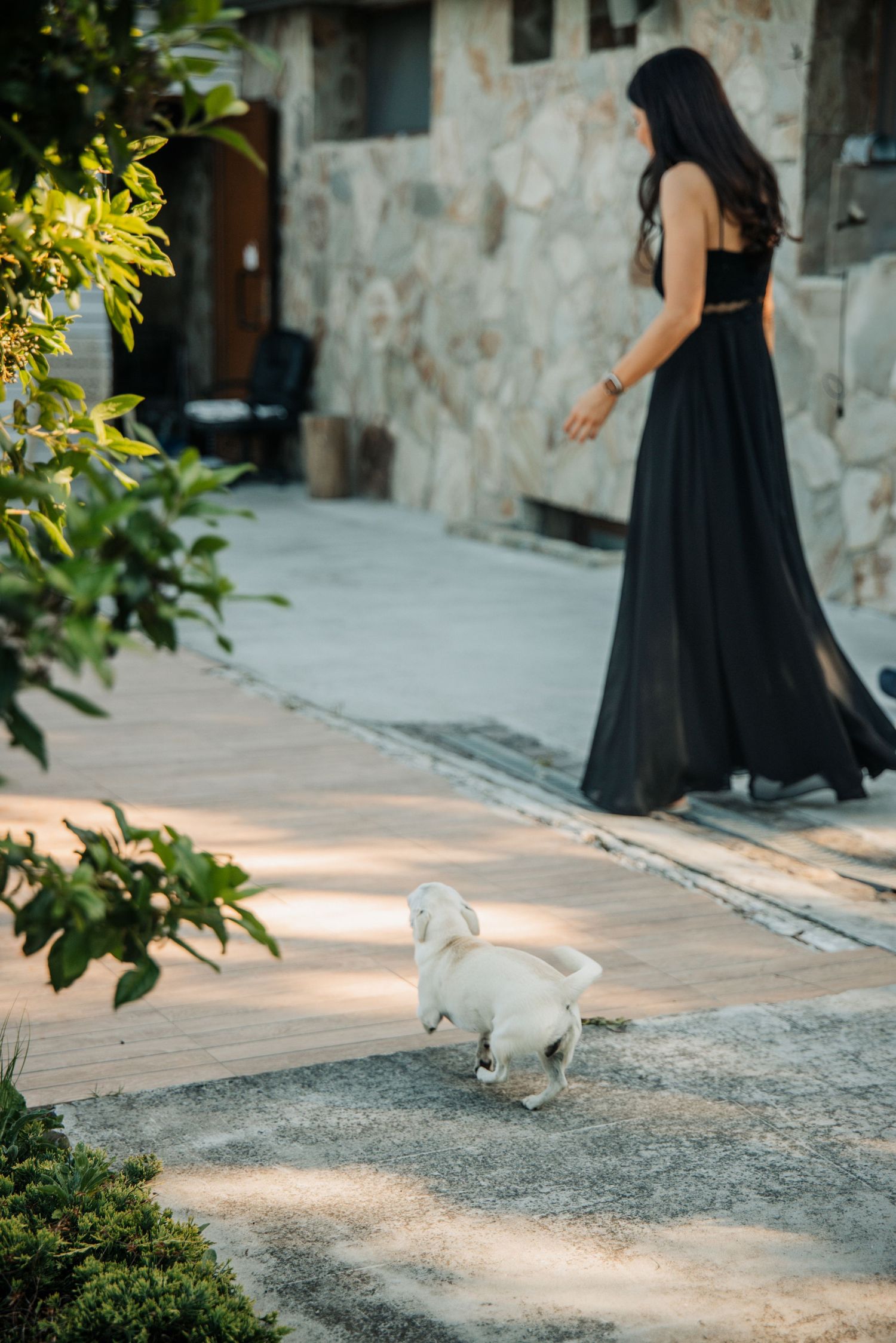 Woman in elegant black gown walking with small white dog at stone villa.