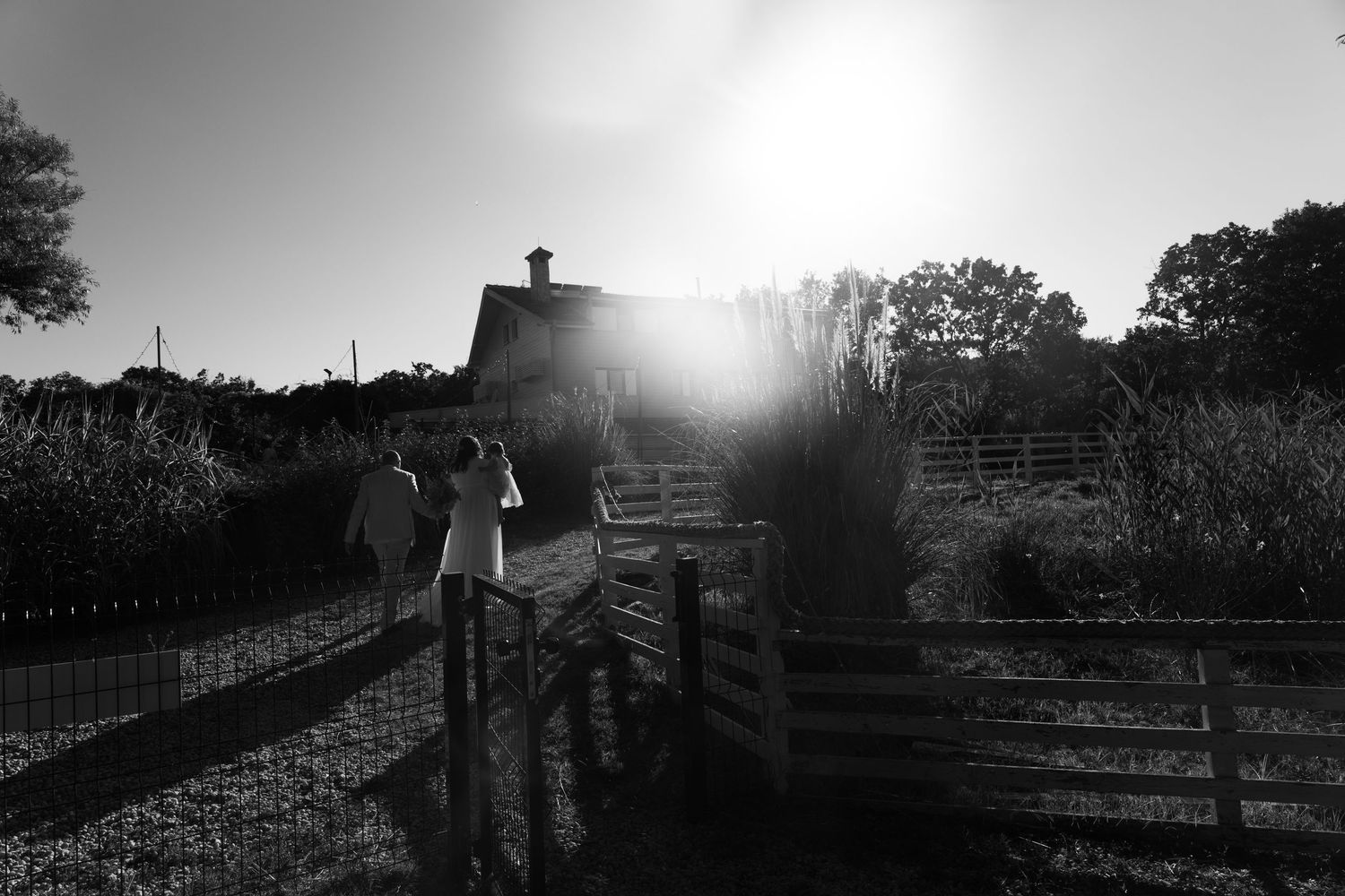 Black and white photo of two people walking toward a sunlit farmhouse with wooden fences and trees in the background.