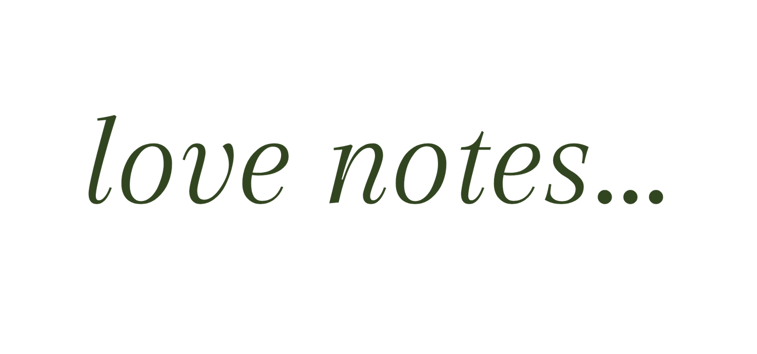 Elegant italic text reading 'love notes...' in dark olive green on a white background.