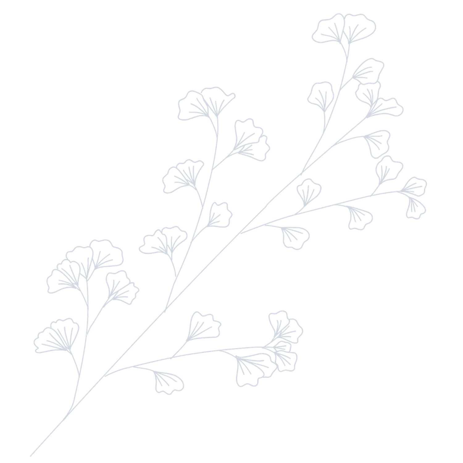 Delicate blue line art illustration of ginkgo branches with leaves on white background.