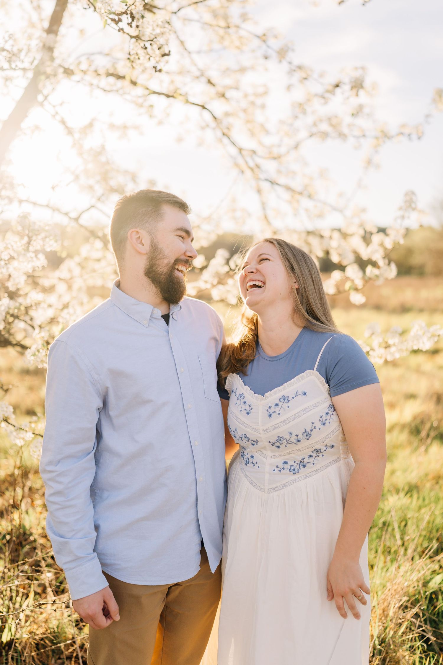 A couple laughs together under blooming cherry blossom trees in warm golden sunlight during an outdoor engagement session.