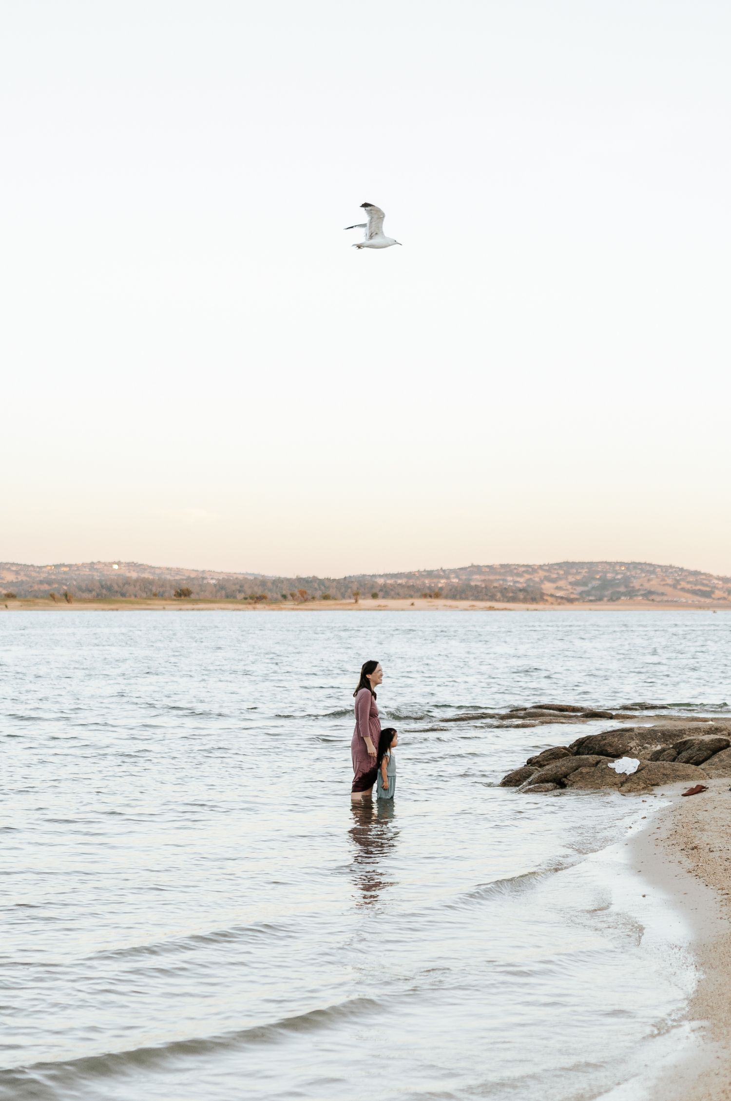 Silhouette of people by the shoreline with seagull flying overhead against a serene coastal landscape.
