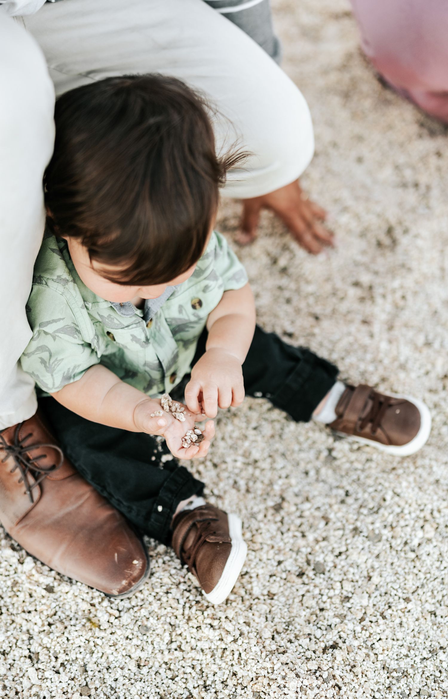 Close-up view of hands picking up small stones from white gravel ground.
