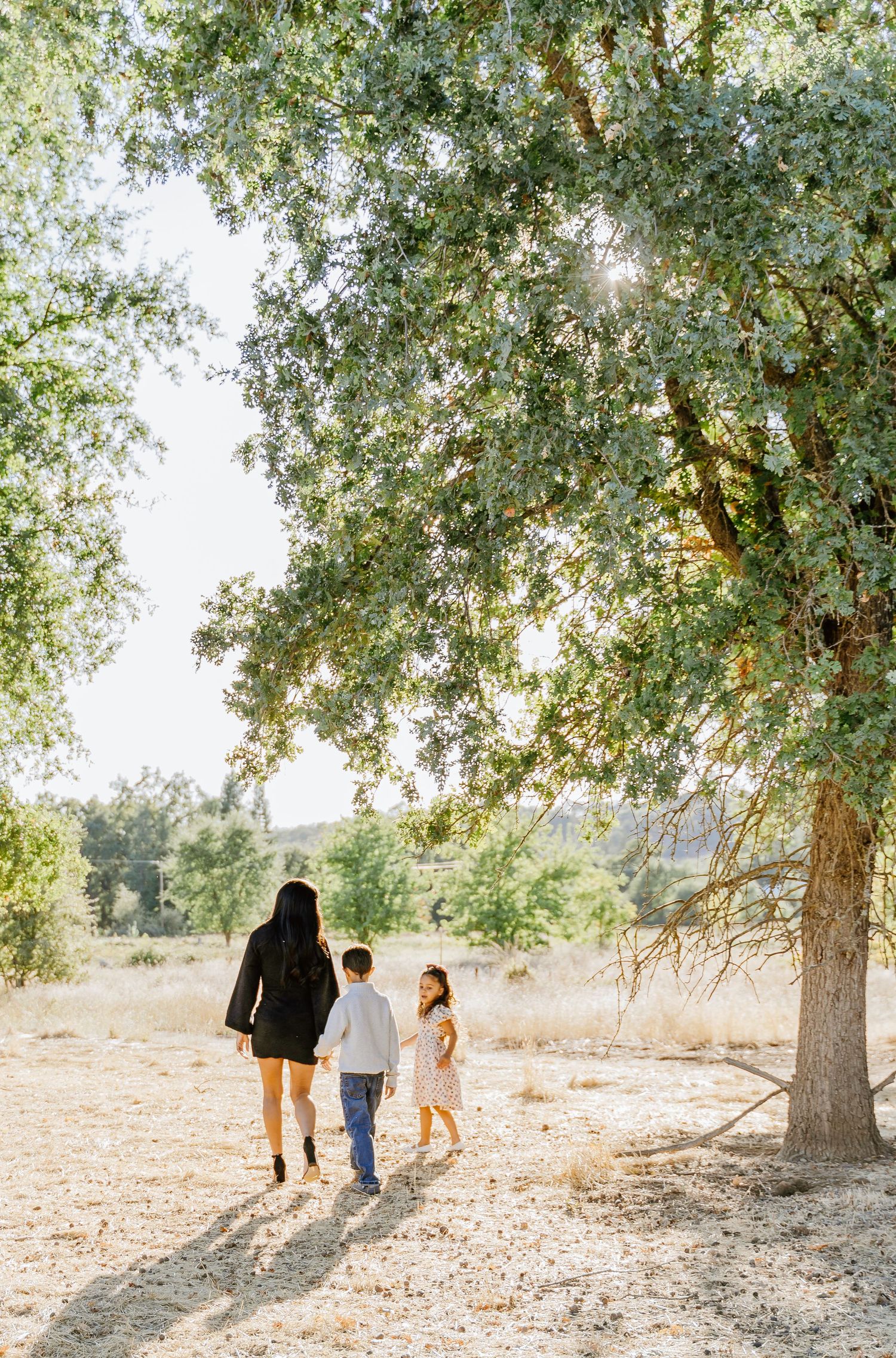 A series of silhouettes walking under large oak trees in golden afternoon sunlight.