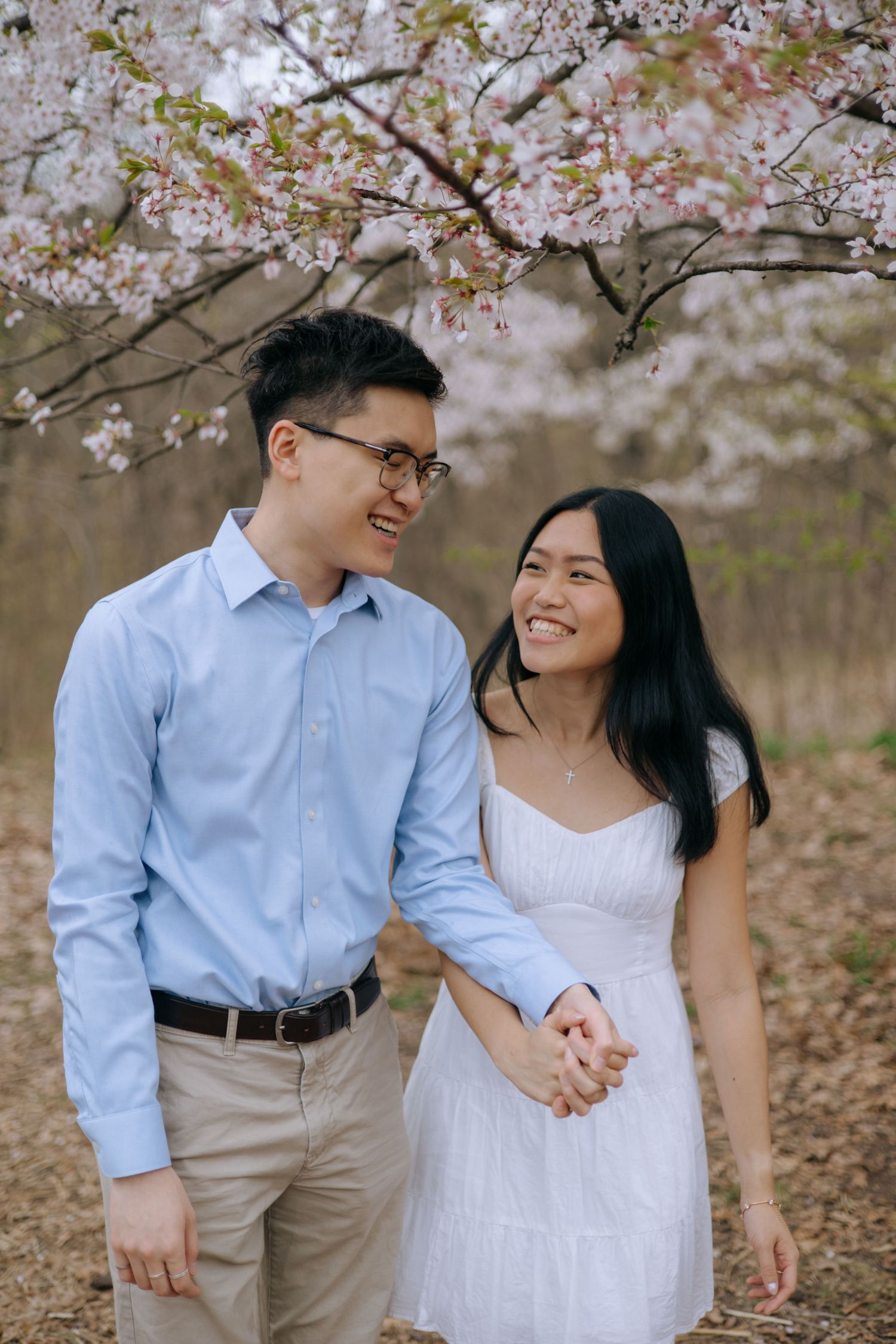 Smiling Asian couple holding hands under blooming pink cherry blossom trees in spring park.