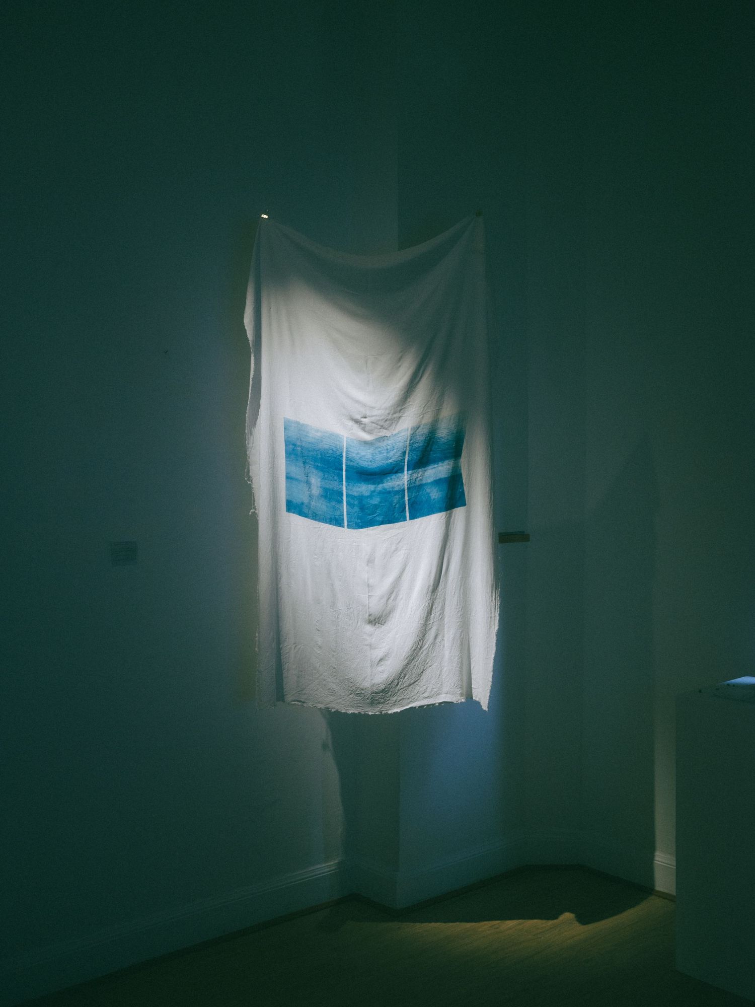 Rui Yasue’s cyanotype on cotton fabric explores shifting boundaries, missing information, and how we mentally reconstruct what we see.