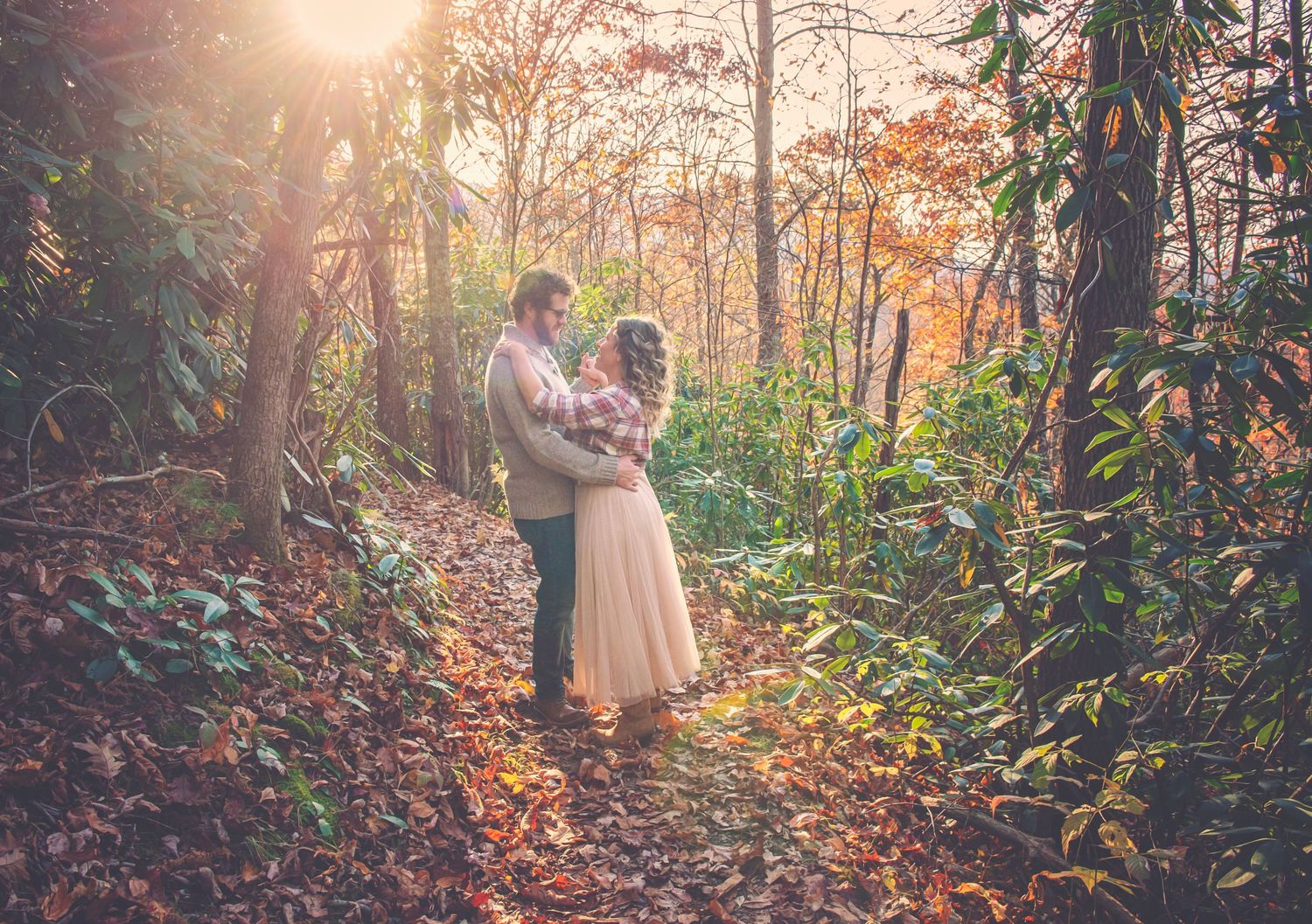 Sunlit forest pathway with golden light streaming through trees during sunset portrait session.