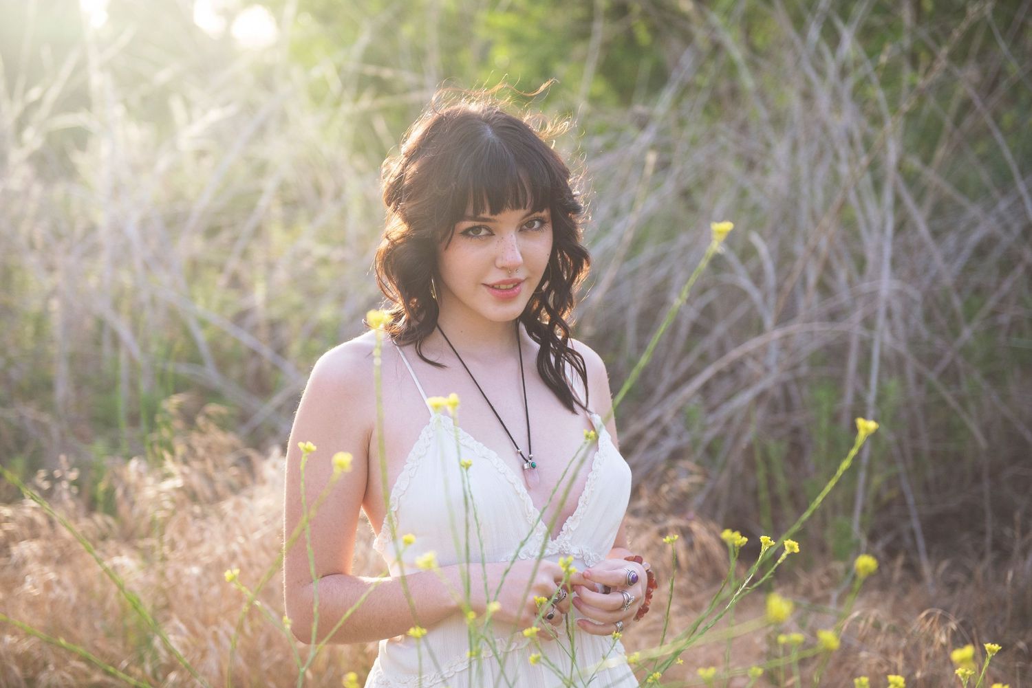 Delicate yellow wildflowers bloom against a soft natural background.