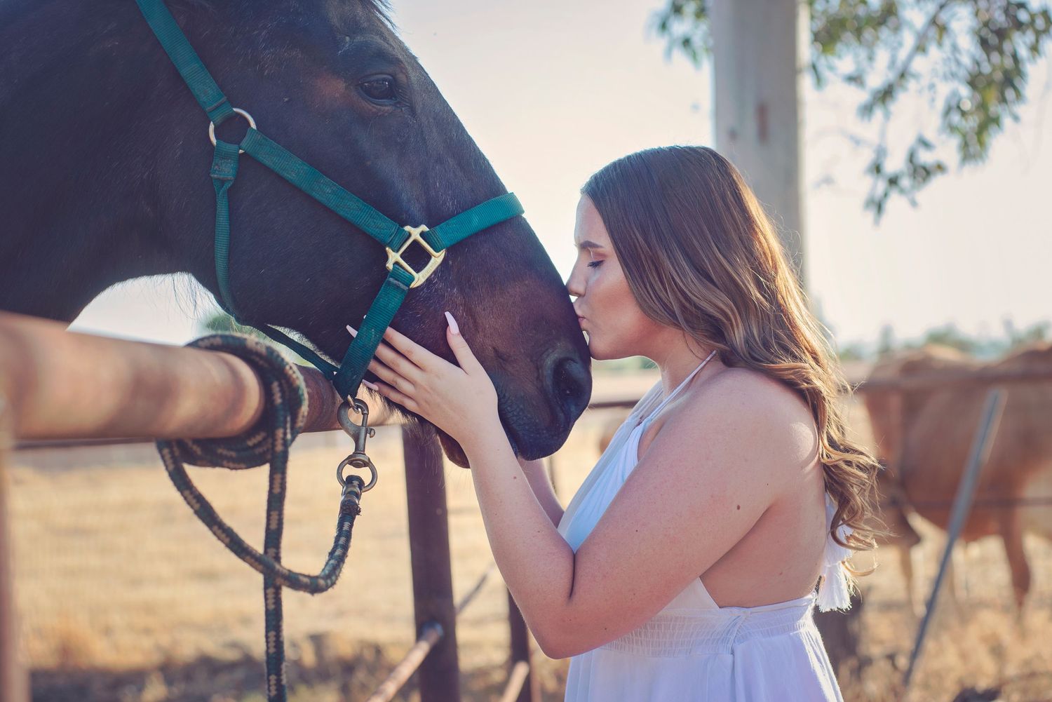 Close-up details of horse riding equipment and reins in natural lighting.