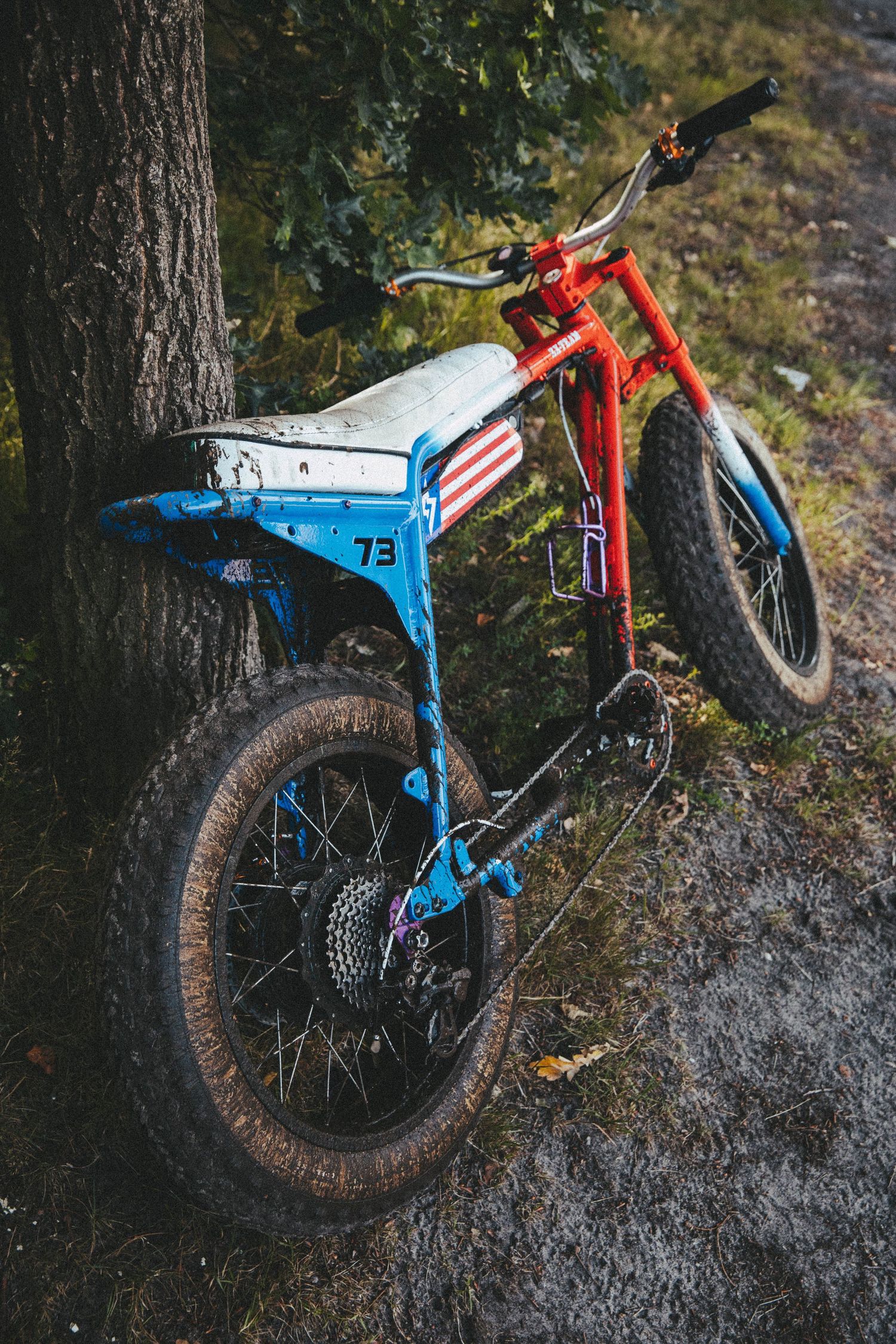 Red and blue retro-styled bicycle with wide tires parked against trees in a forest setting.