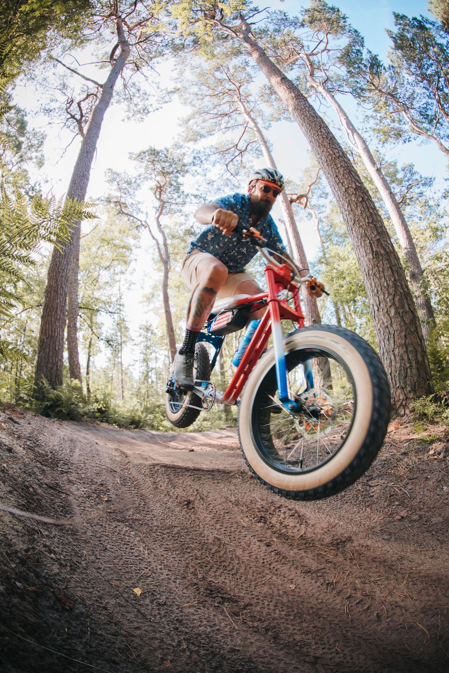 Mountain biker riding through a winding dirt trail in a pine forest.