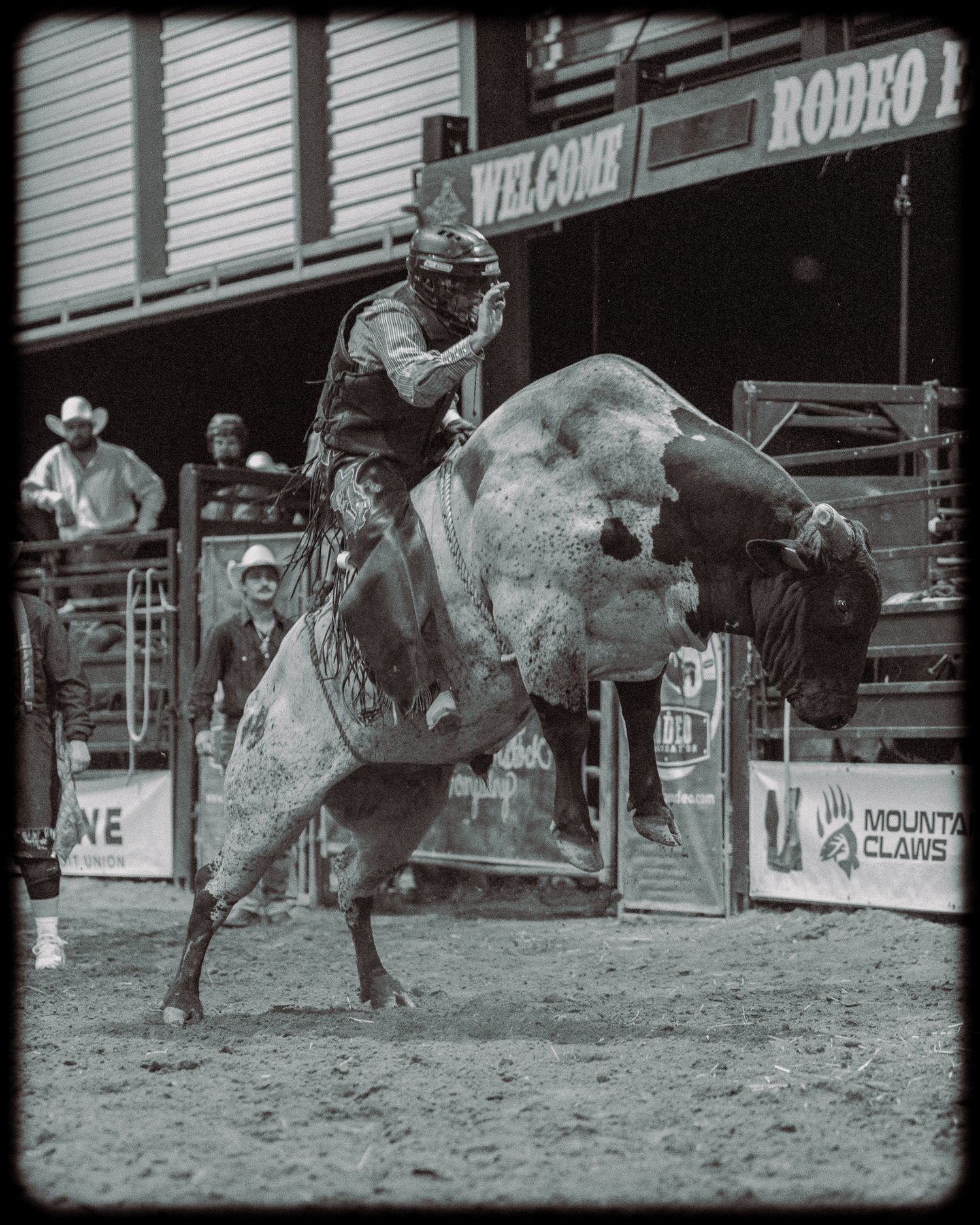 A cowboy riding a bull