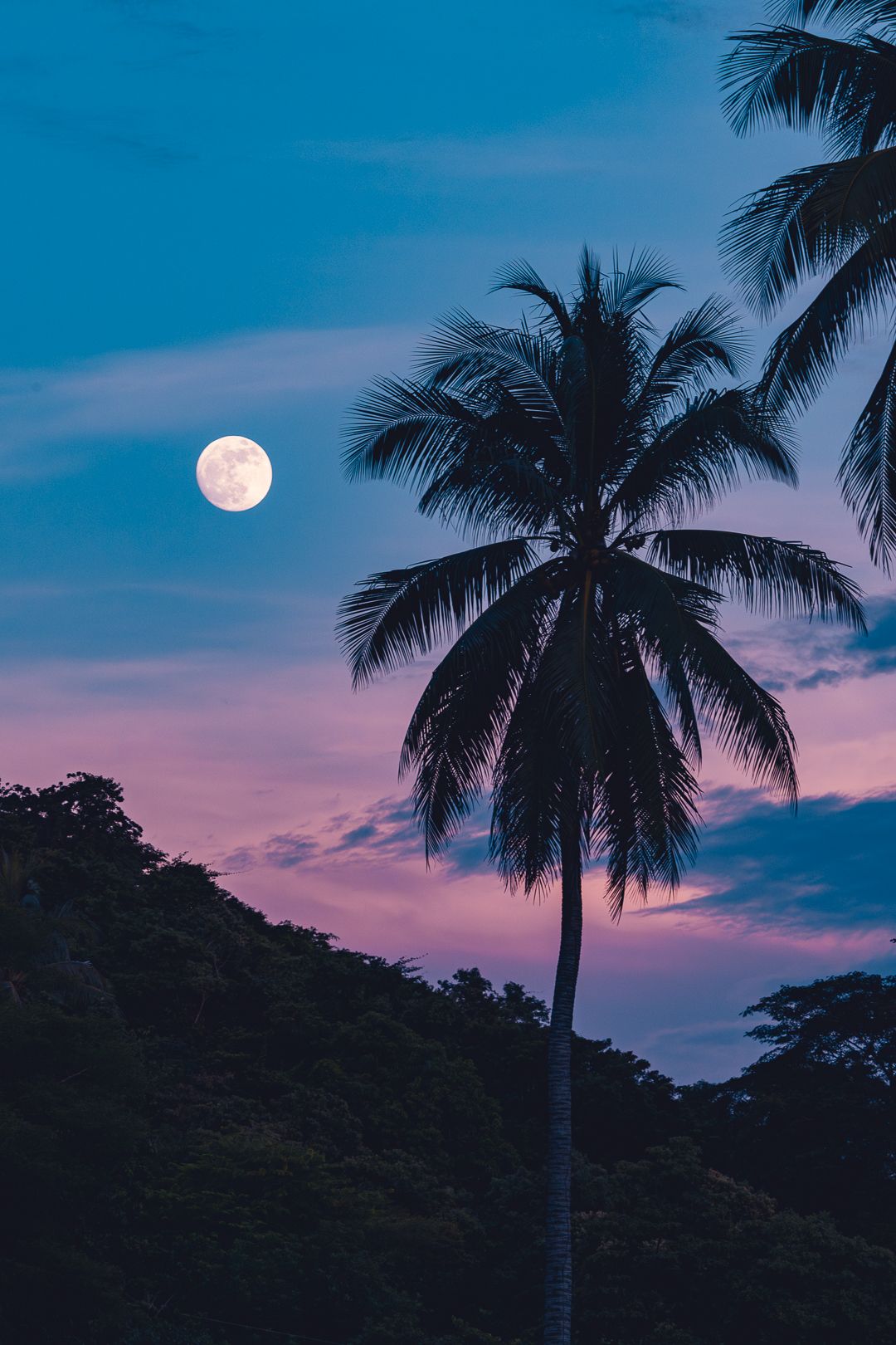 A photo of a full moon during blue hour with mountains and palm trees silhouette in the foreground.