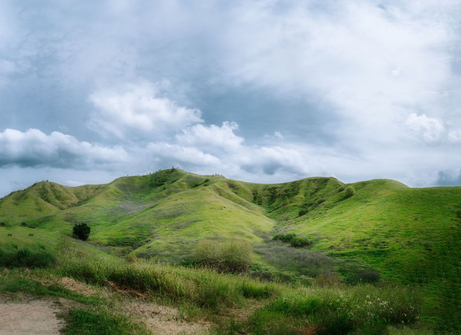 Rolling green hills stretch across the horizon under a cloudy sky in a panoramic landscape view.