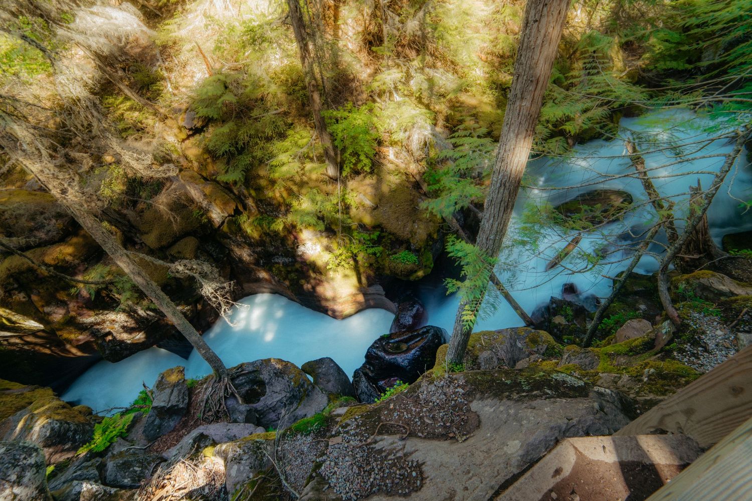 Vibrant turquoise water flows through a mossy forest ravine with dramatic lighting.