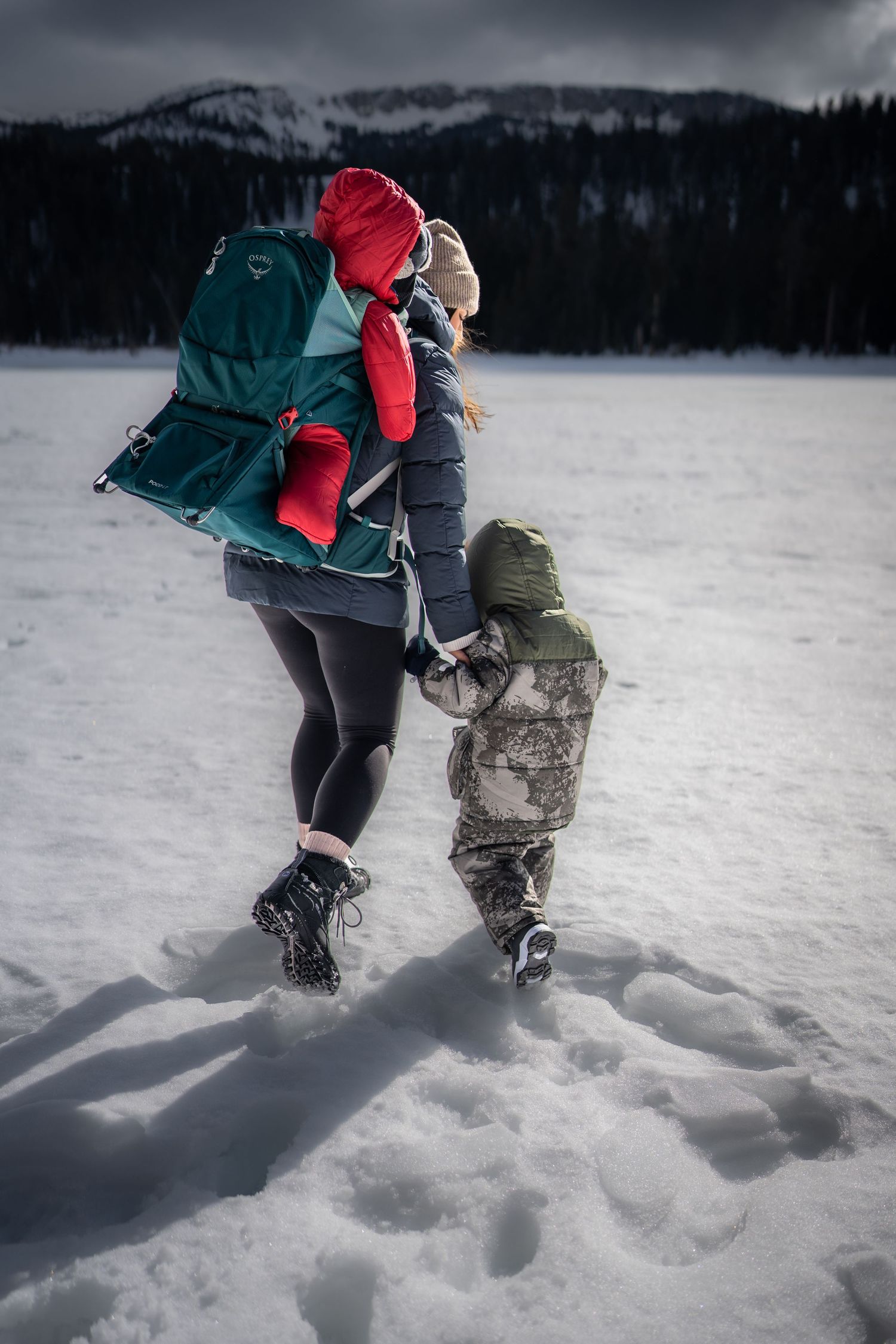 Two figures walking through snowy landscape with mountains in background.