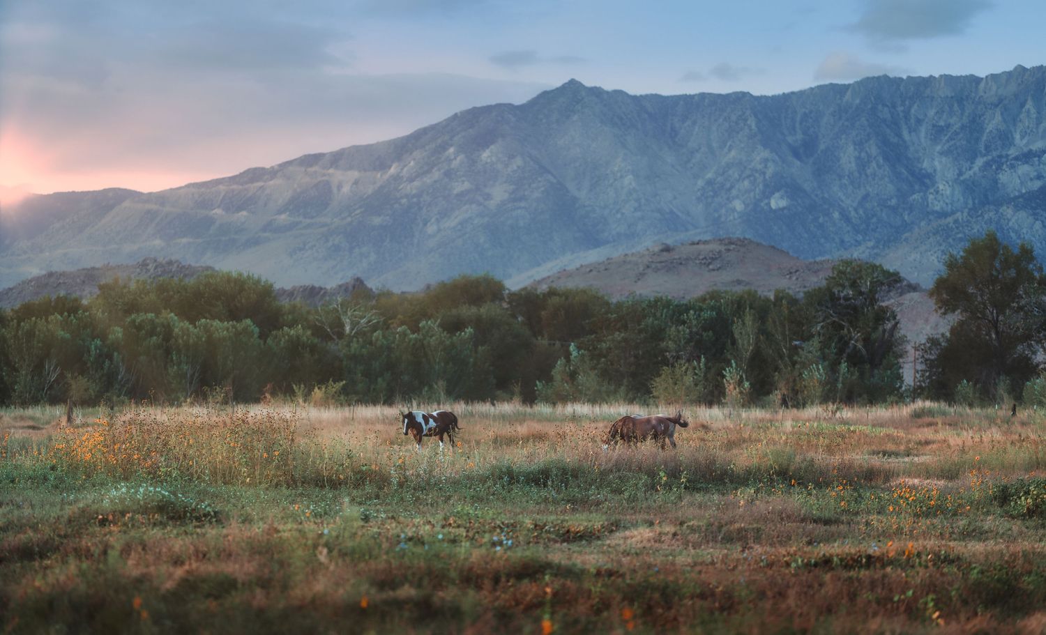 Scenic mountain landscape with horses grazing in a meadow during sunset.