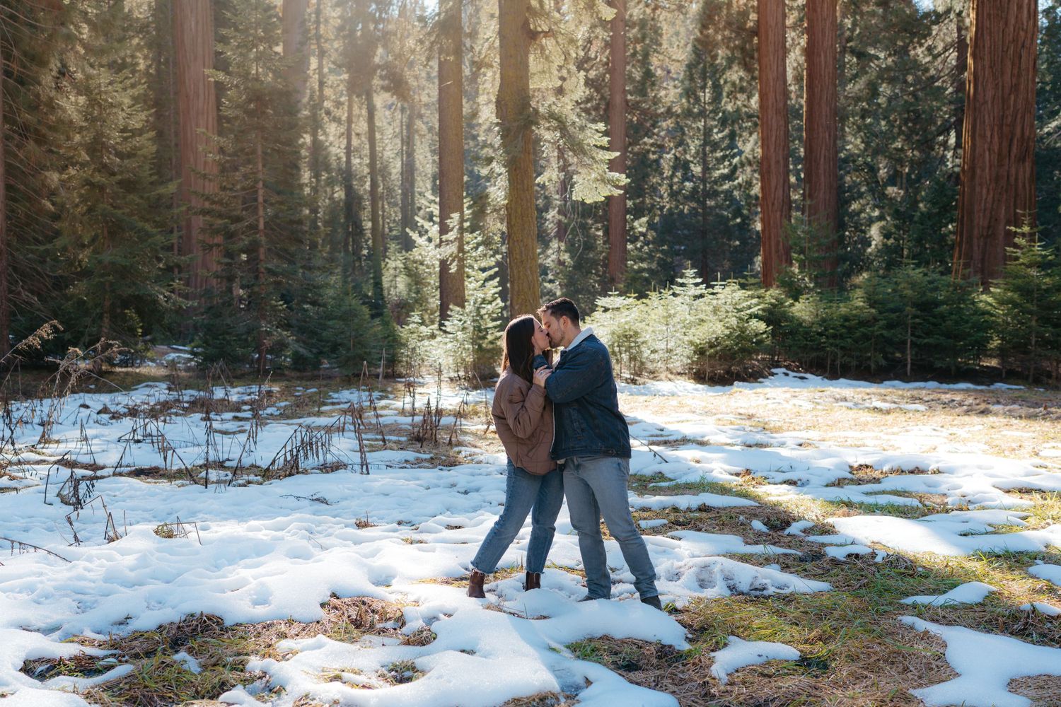 Snow-covered boardwalk path through a winter forest landscape with evergreen trees.