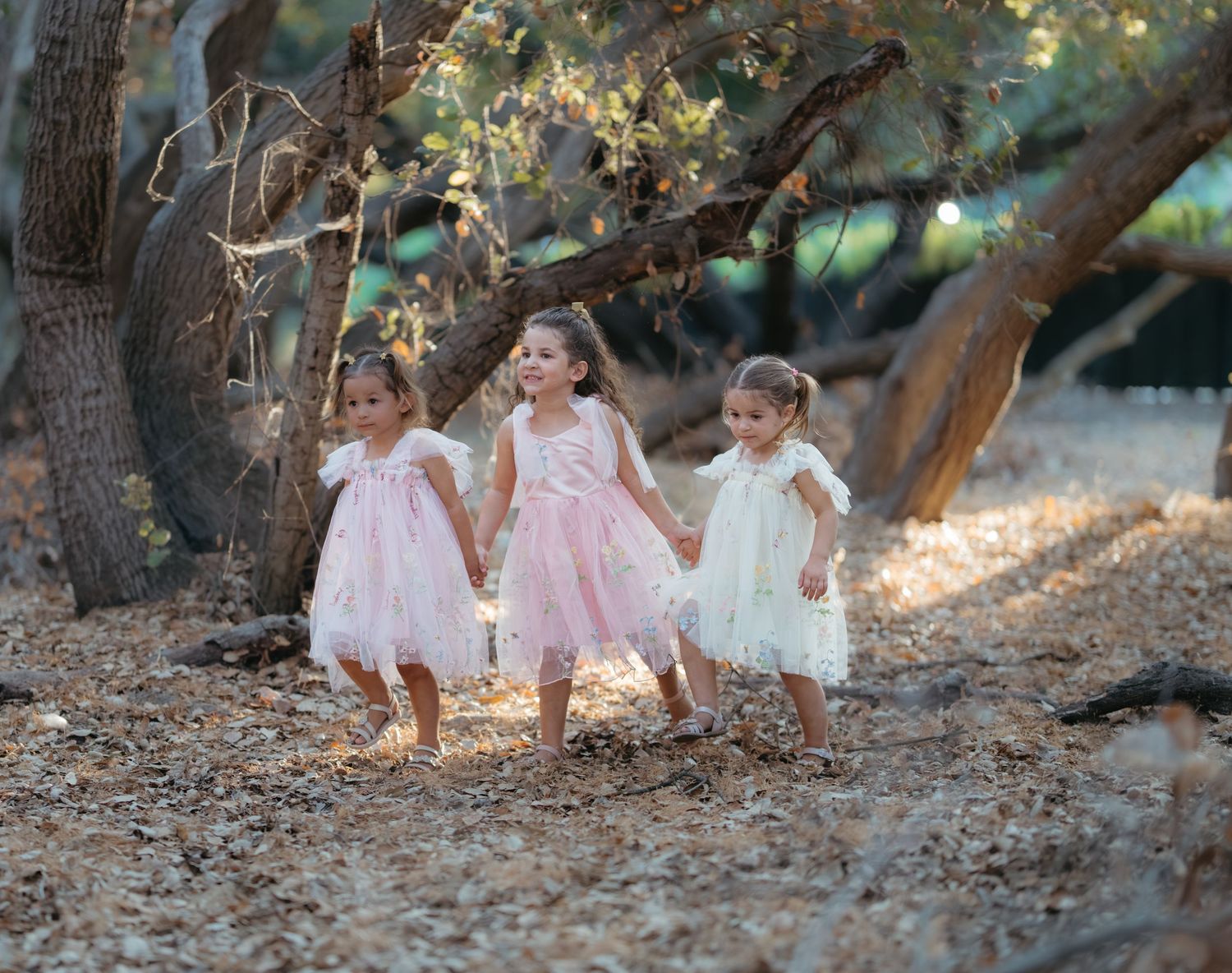 Three small children in tulle dresses explore wooded area during golden hour.