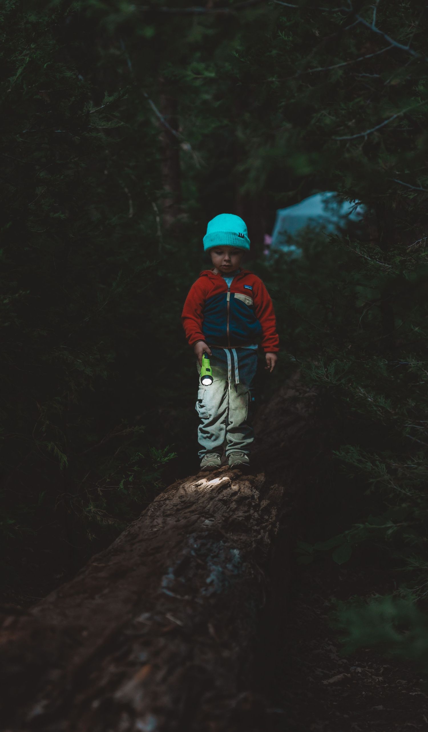 Person in teal beanie and red jacket perches on fallen log in dark forest setting.
