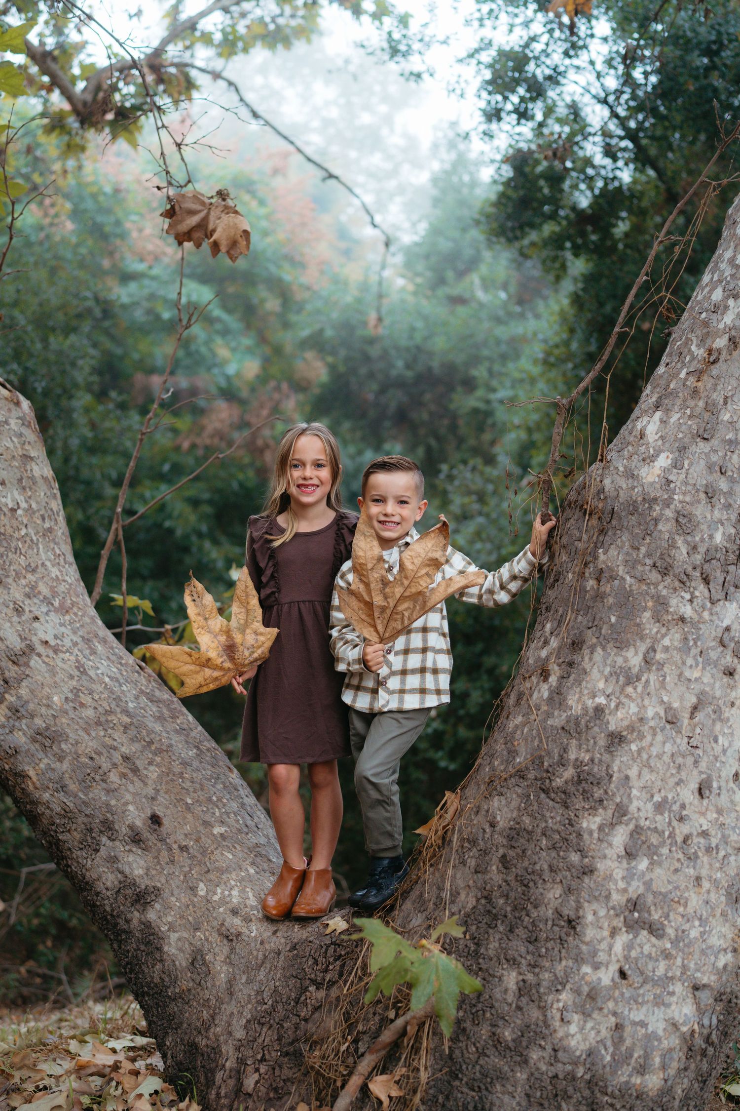 Warm golden hour environmental portrait of a family with children playing in a sunlit field in Southern California by Vince Shewmaker.