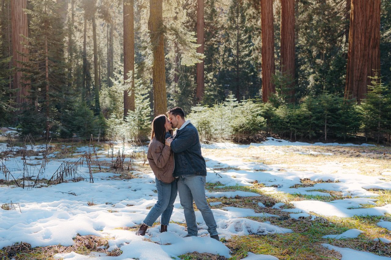 Couple walking through a snowy forest with tall evergreen trees in Sequoia National Park, California