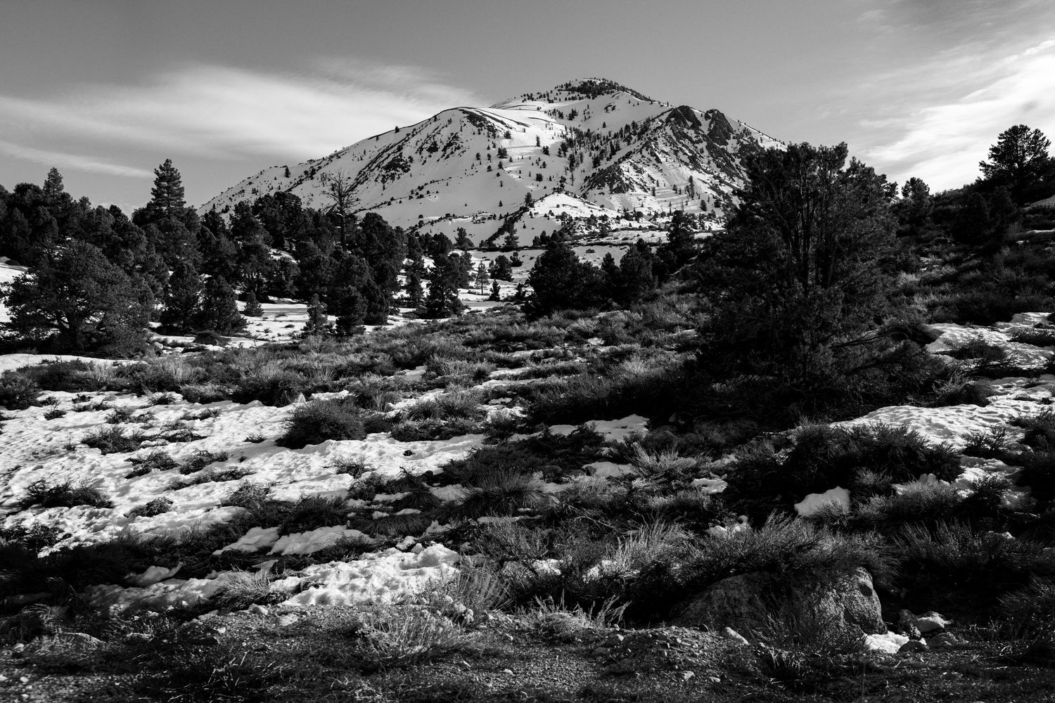 Black and white landscape photo of a snow-dusted mountain peak with pine trees and rocky terrain in the foreground.