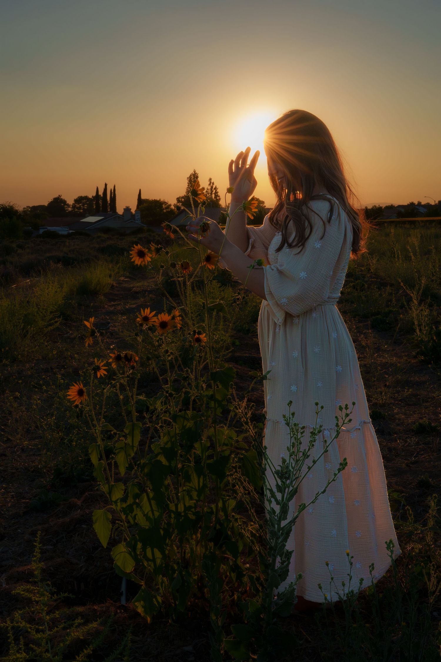 Warm golden hour environmental portrait of a woman in a sunlit field in Southern California by Vince Shewmaker.