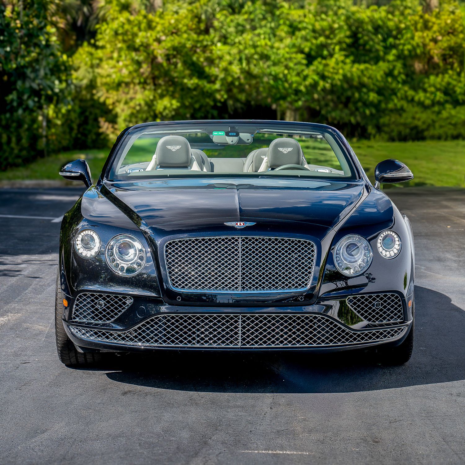 Black convertible Bentley portrait on concrete with greenery forest behind in blurred background.
