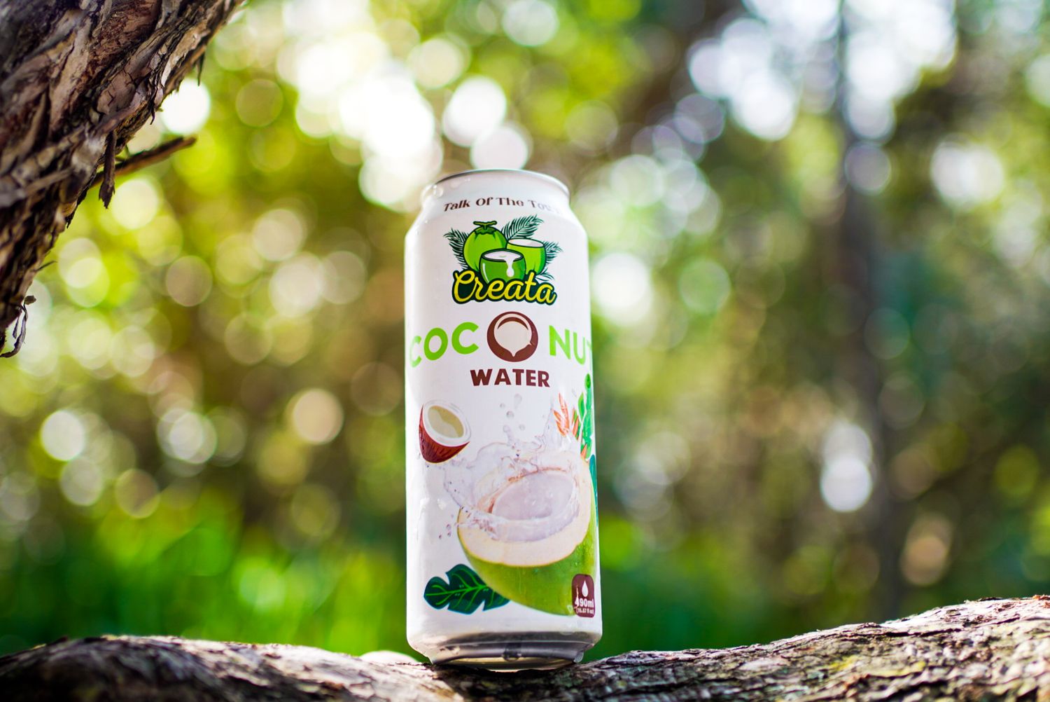 Product photography. Coconut water can sitting on a tree branch while Sunkissed greenery background is blurred.