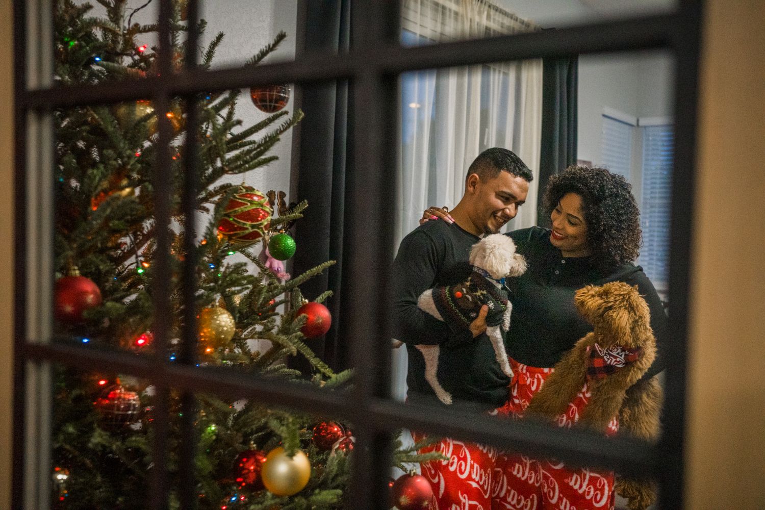 Young spanish couple interacting and posing for photo with dogs and christmas tree next to them. Photo taken from outside of window.