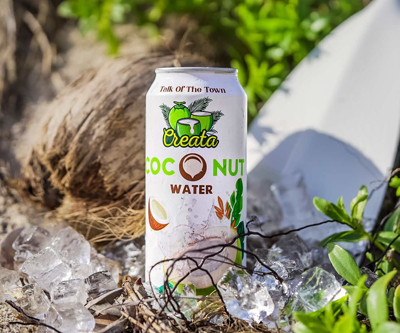 Product photography. Coconut water can sitting in coconut husk with ice and surfboard, greenery, and coconut in background.