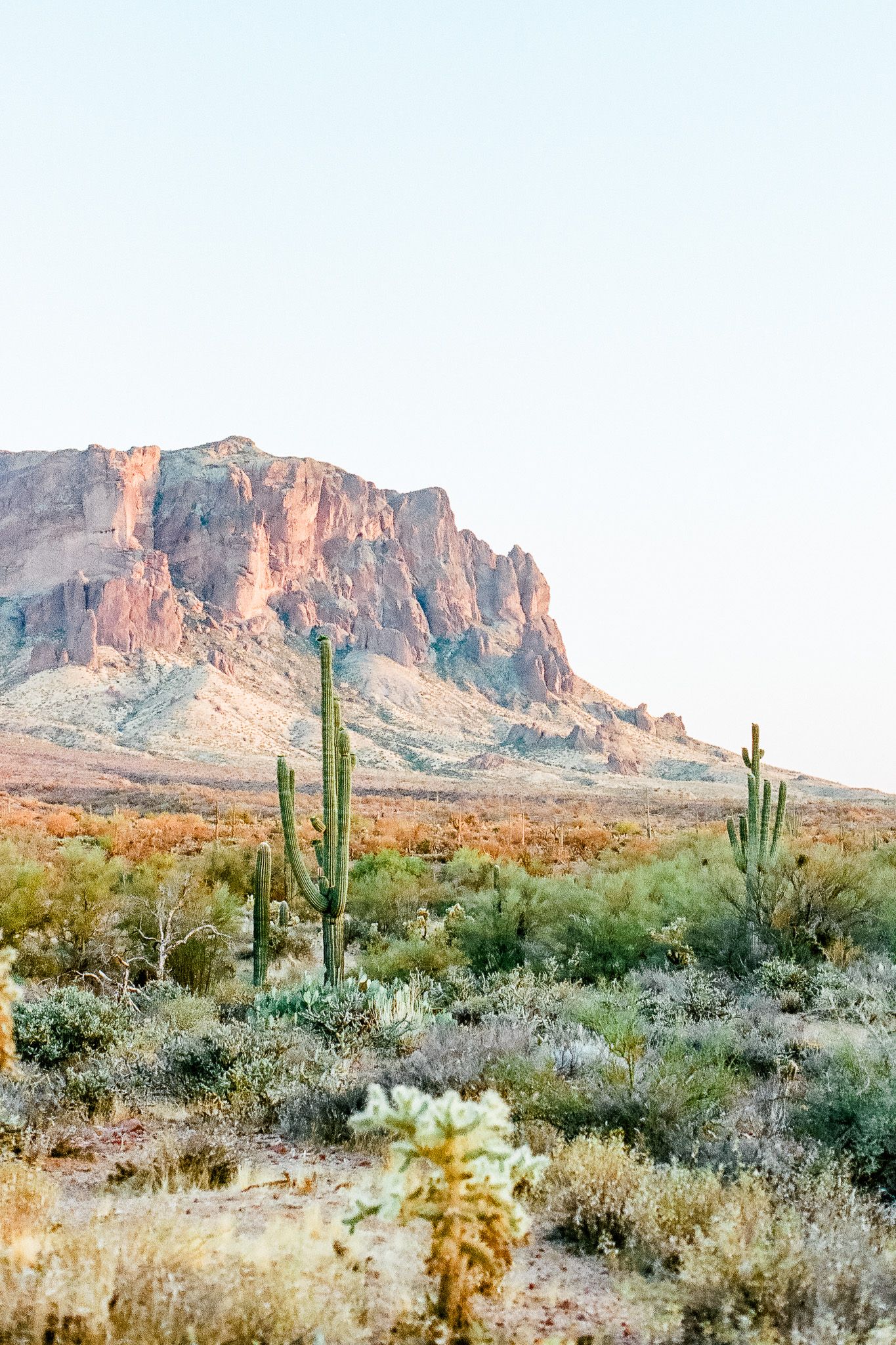 Desert landscape with saguaro cacti and dramatic rock formations during golden hour.