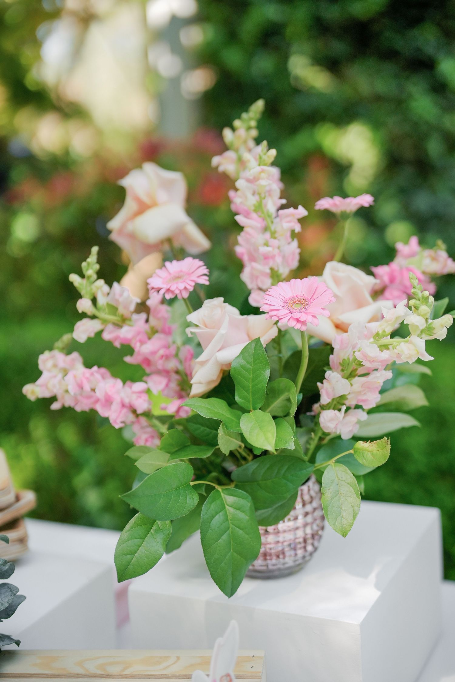 Pink snapdragons and green foliage arranged in white modern planters for event decor.