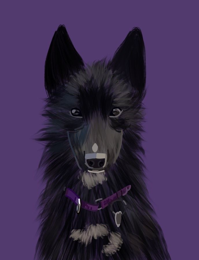 Digital art commission of a black dog