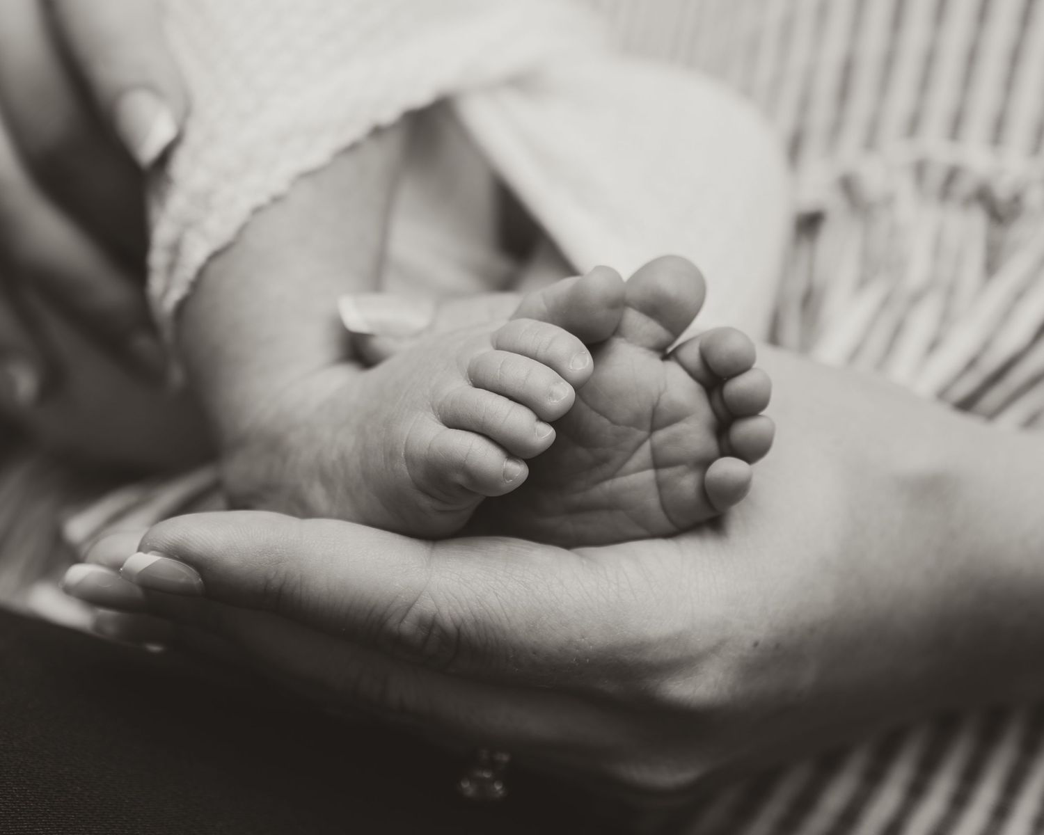 Black and white photo of a newborn baby's tiny feet cradled gently in an adult's open palm.