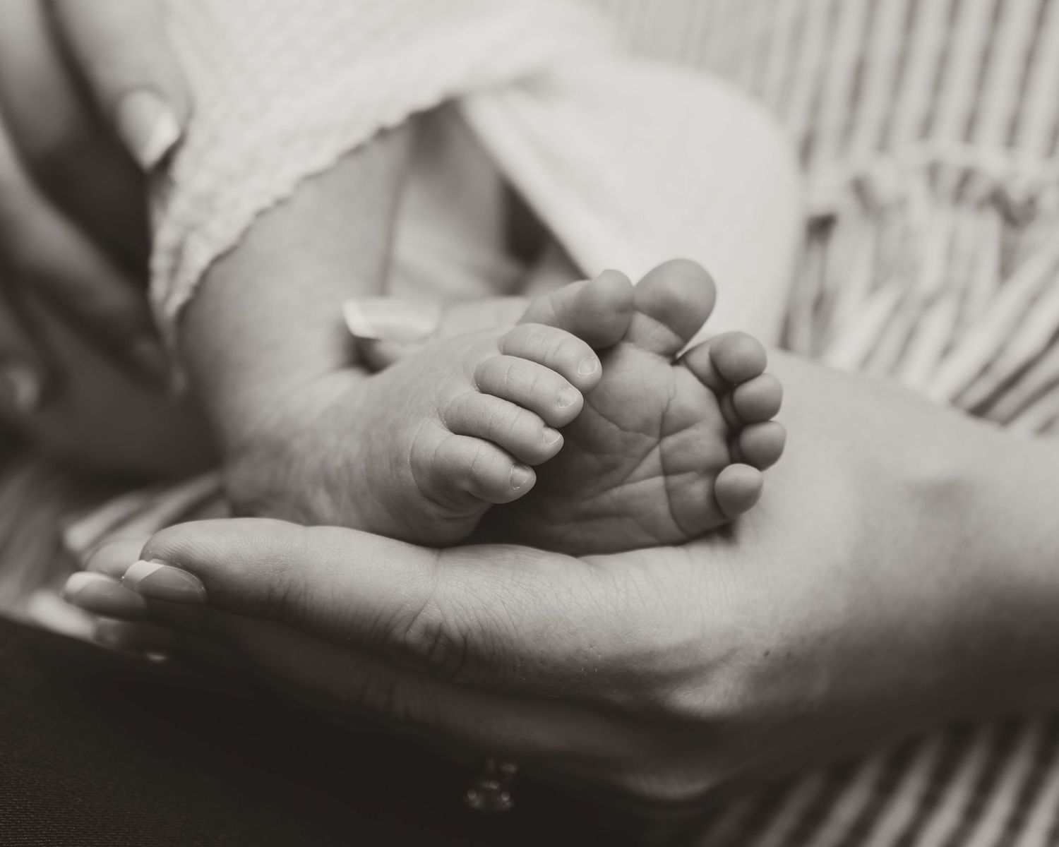 Black and white photo of tiny newborn baby feet cradled gently in an adult's open palm.