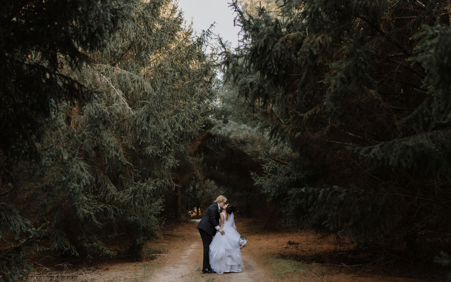 A couple standing together on a moody, tree-lined dirt path through a peaceful forest setting.
