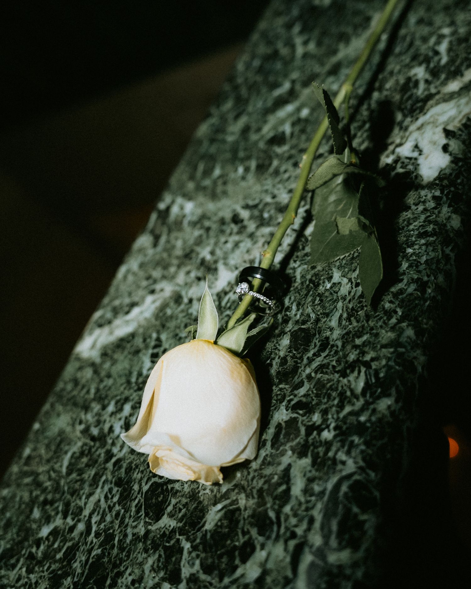 A single white rose bud resting on a dark green marble surface with a diamond ring placed on its stem.