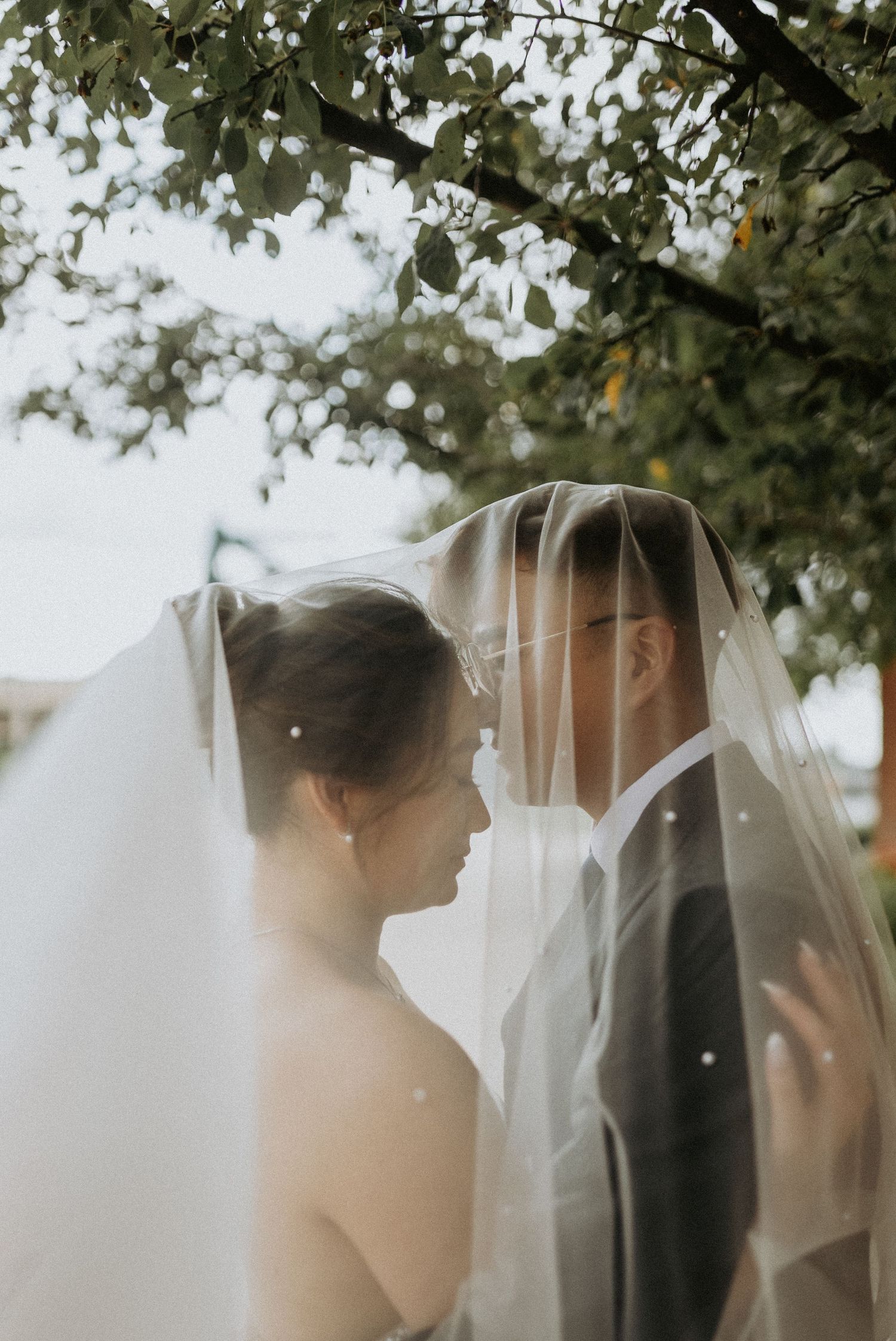 Romantic scene through sheer white veil with soft bokeh effect and tree foliage.