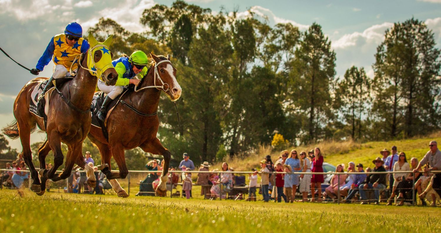 Panoramic view of equestrian competition with riders jumping over obstacles in a sunny field with spectators.